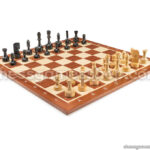 Šahovski komplet luzern