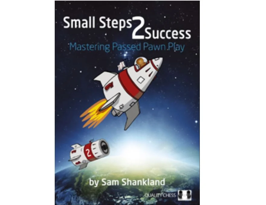 small steps 2 success