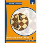 build up your chess 1 the fundamentals