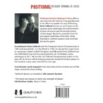 positional decision making in chess