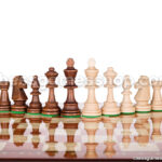 Šahovski komplet tournament roll up 5