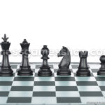 Šahovski komplet tulec s torbo