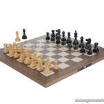 dgt usb oreh eboard + classic figure