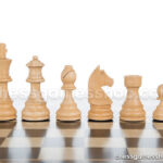 lesene Šahovske e figure dgt timeless