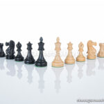 lesene Šahovske e figure dgt classic