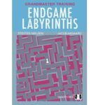 Endgame Labyrinths