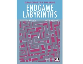 endgame labyrinths