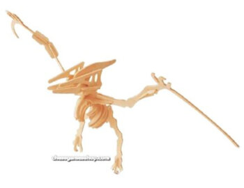 lesena 3d sestavljanka pteranodon