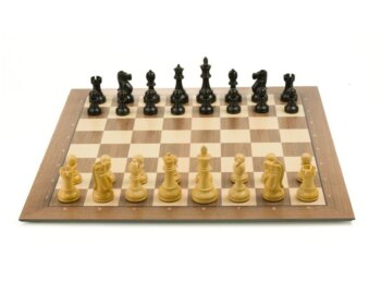 dgt smart board with indices + classic chess pieces