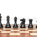 Šahovski komplet dgt plastika