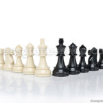 Šahovski komplet dgt plastika