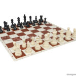 Šahovski komplet dgt plastika