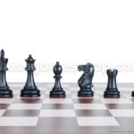 Šahovske figure Judit Polgar Deluxe v škatli