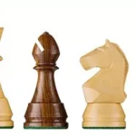 lesene šahovske figure dgt modern