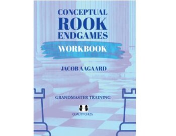conceptual rook endgames workbook
