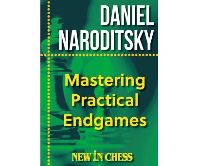 Mastering Practical Endgames